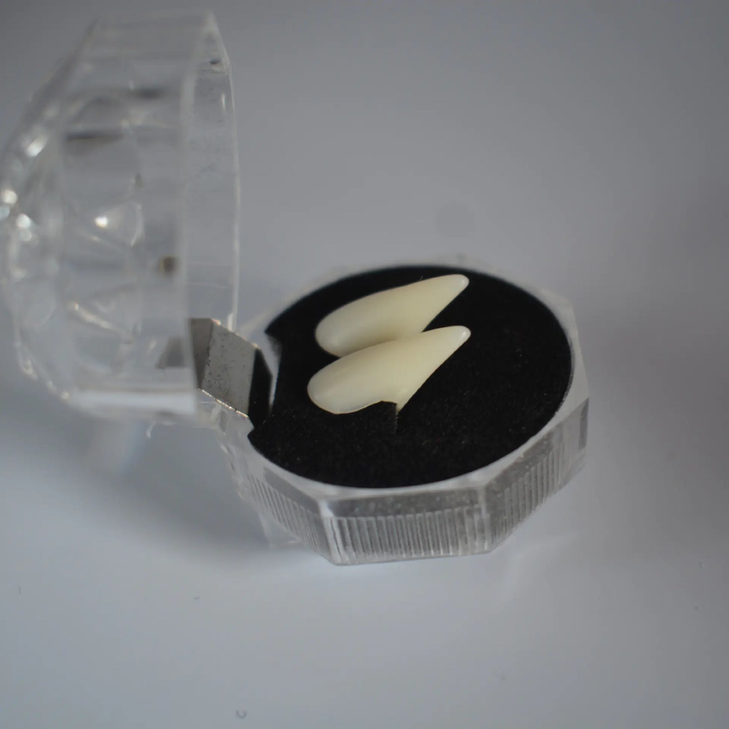 Halloween Vampire Zombie Fangs Party Costume Props