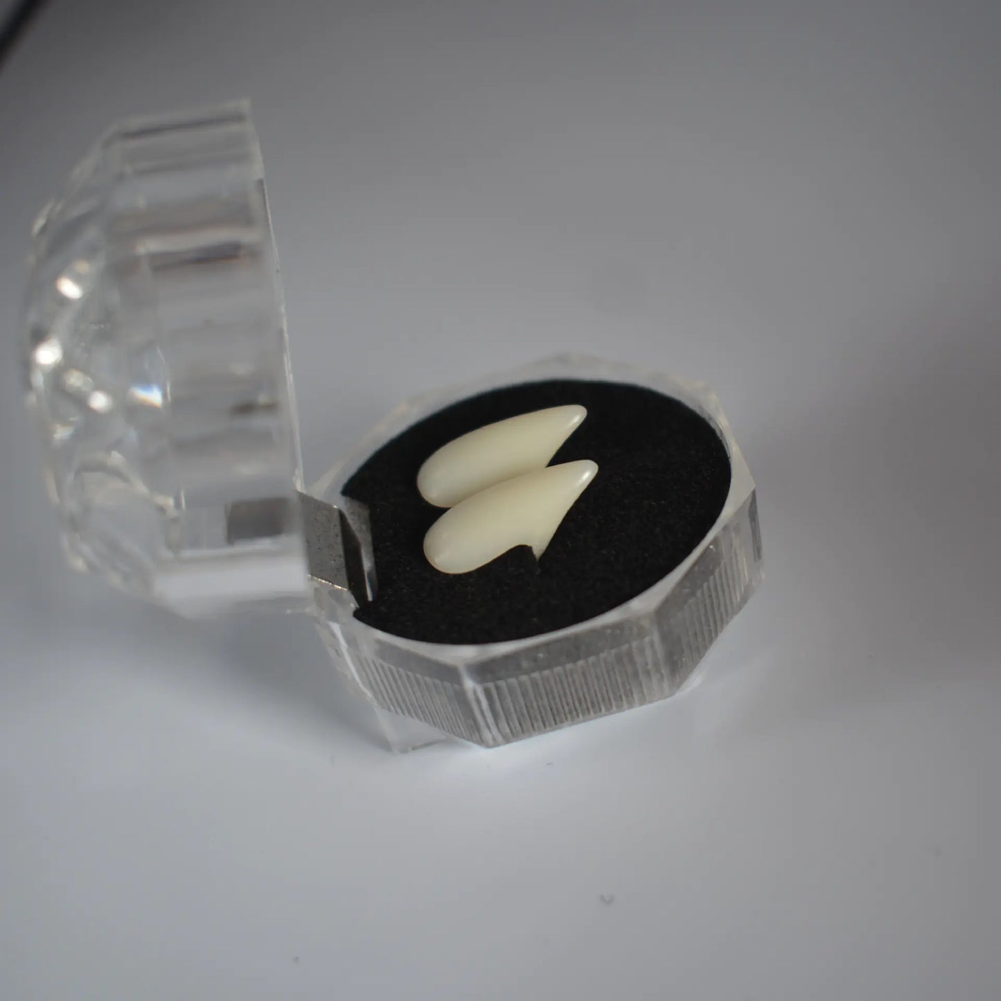 Halloween Vampire Zombie Fangs Party Costume Props